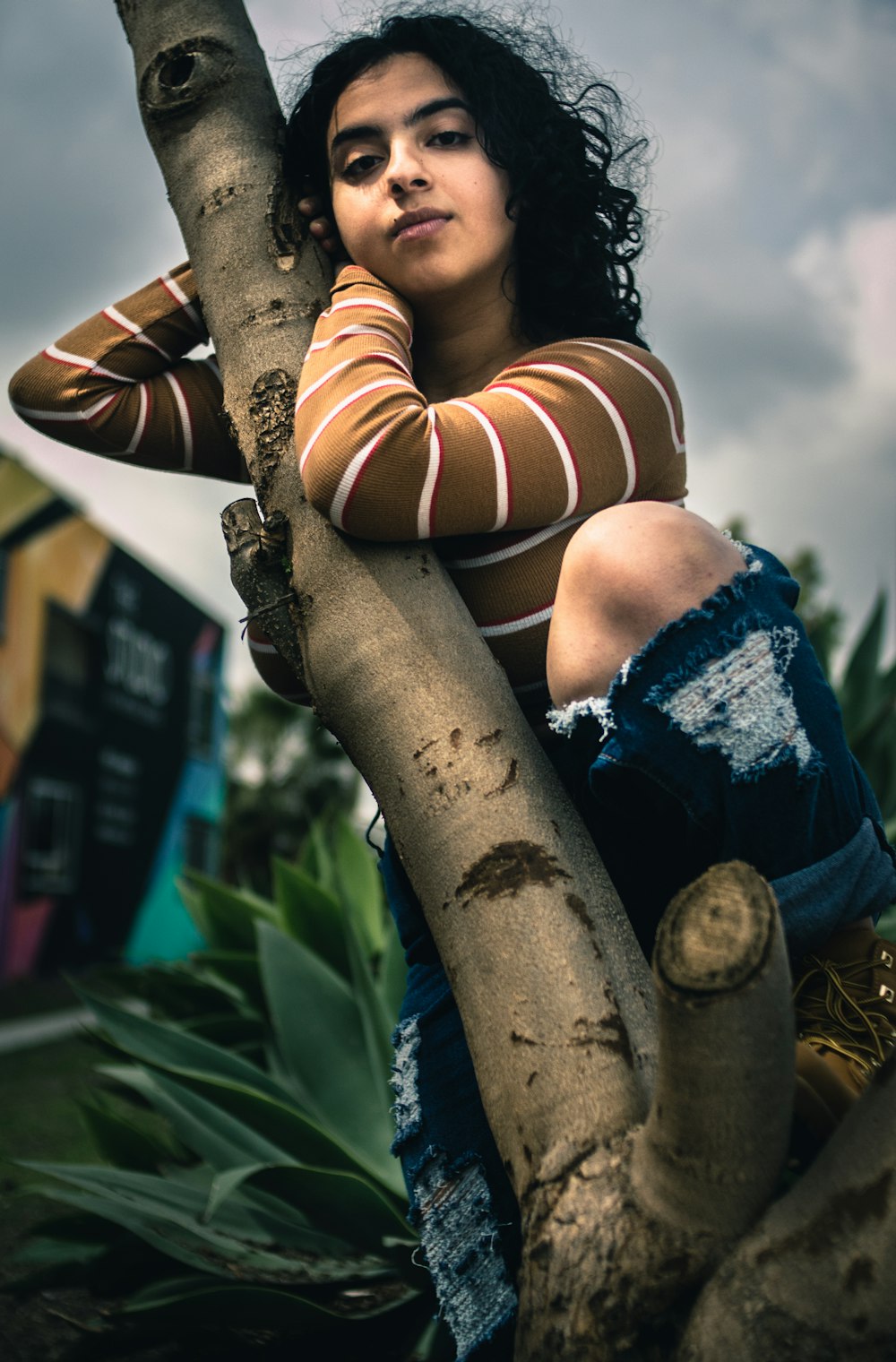 Selektive Fokusfotografie einer Frau auf einem Baum während des Tages