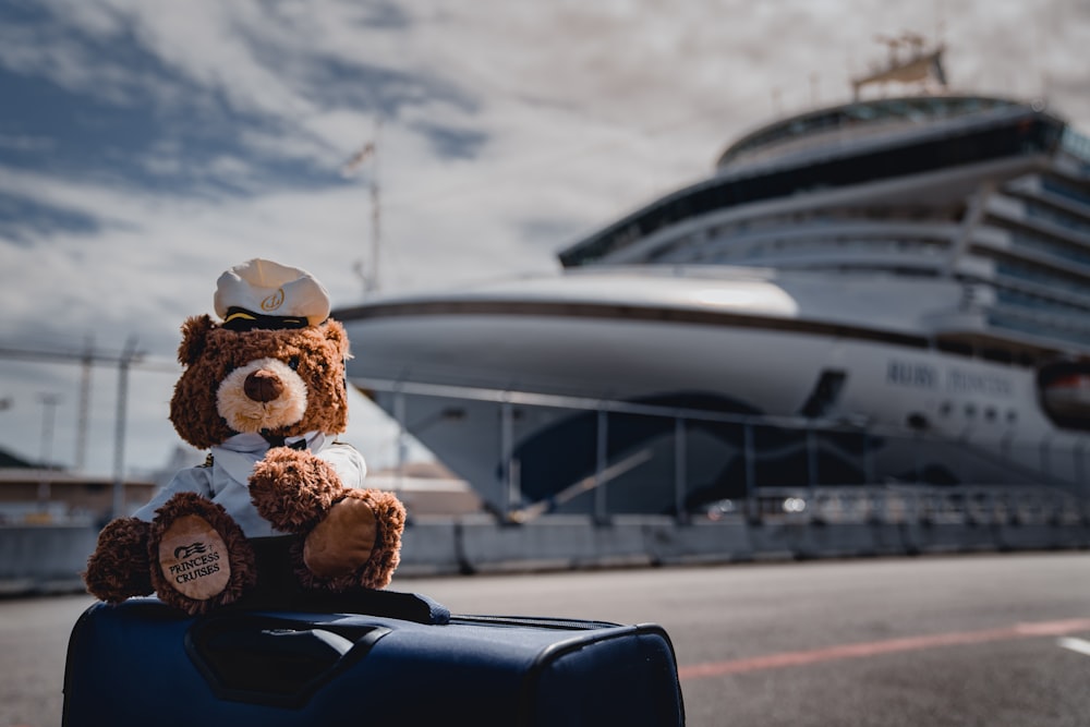 brown bear plush toy on top of a blue luggage