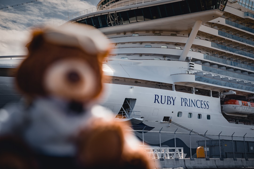 bear plush toy near Ruby Princess cruise ship