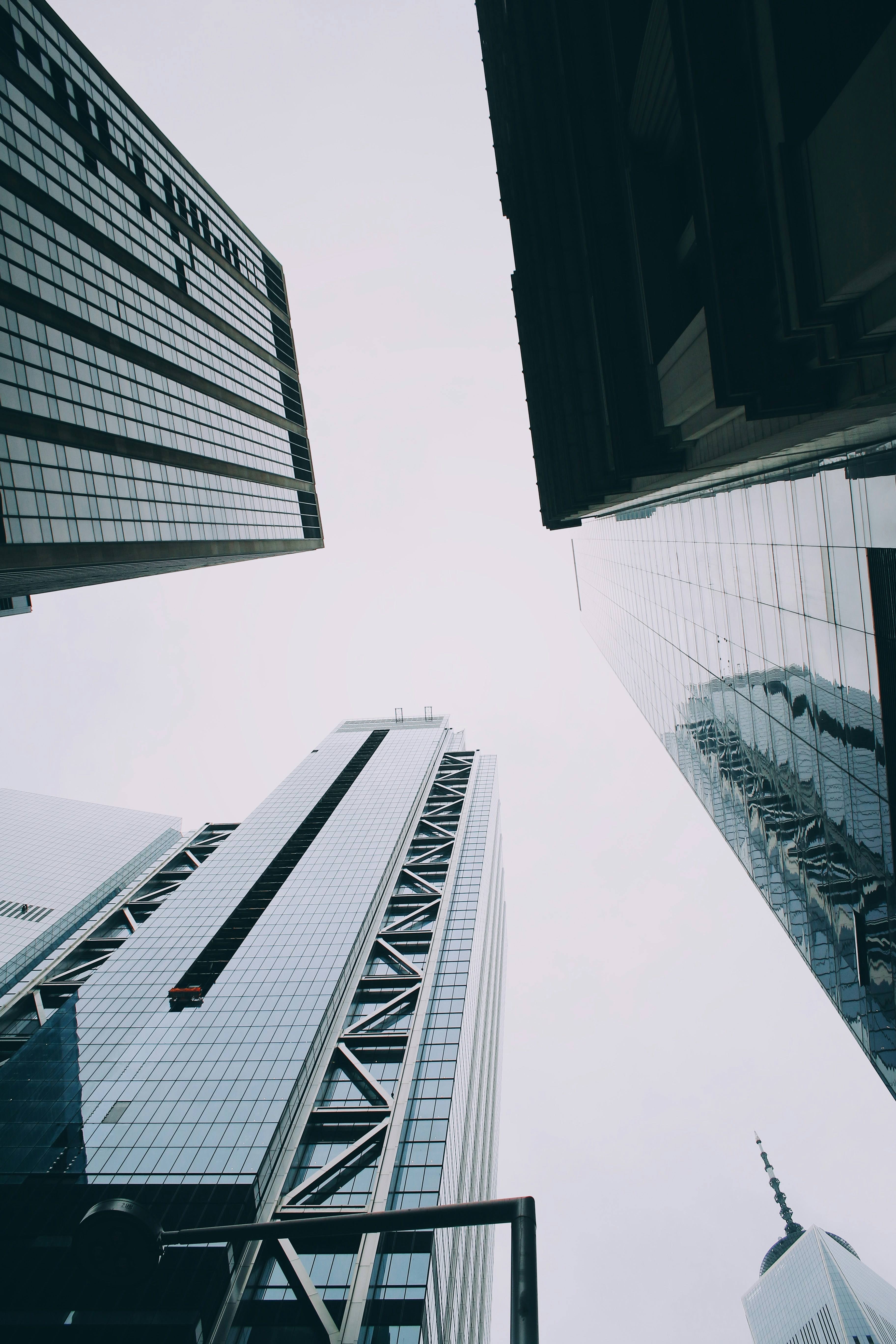 Photo by renankamikoga