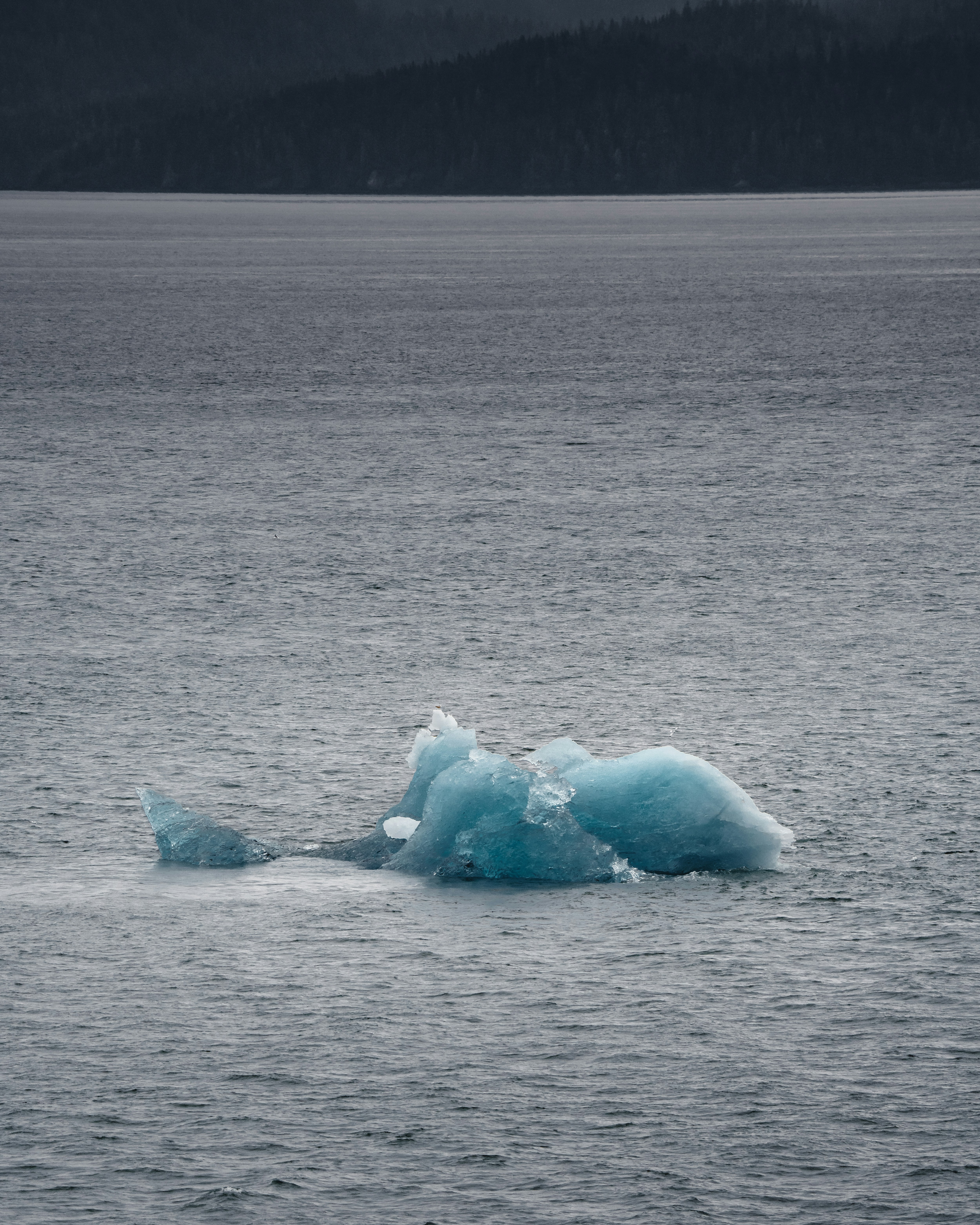 氷山の写真 Unsplashで見つけるグレーの無料写真