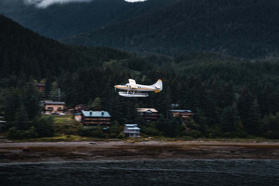 white and grey airliner photograph