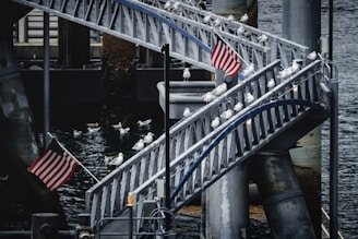 shallow focus photo of flag of United States of America