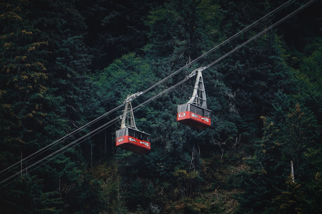 shallow focus photo of two red-and-black cable cars