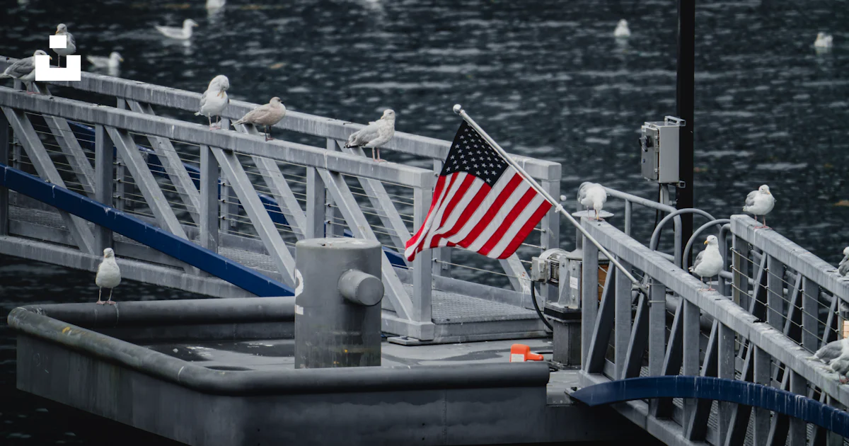 Flag Ramp USA flag on wooden ramp railing near birds photo – Free Flag Image on ...