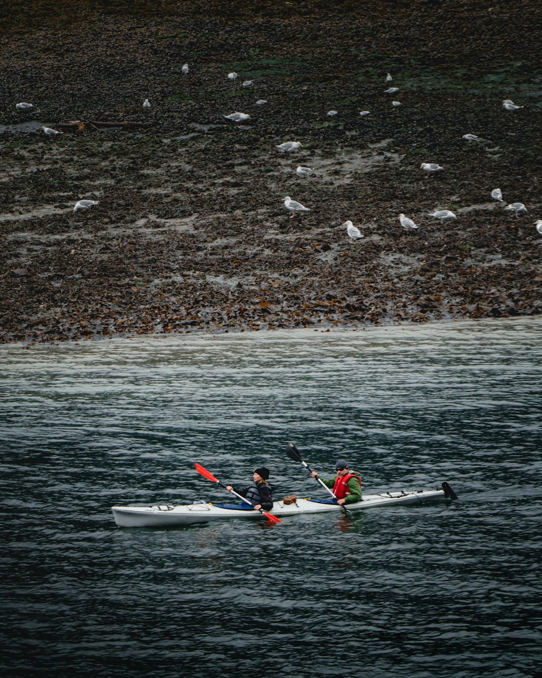 two men riding kayak