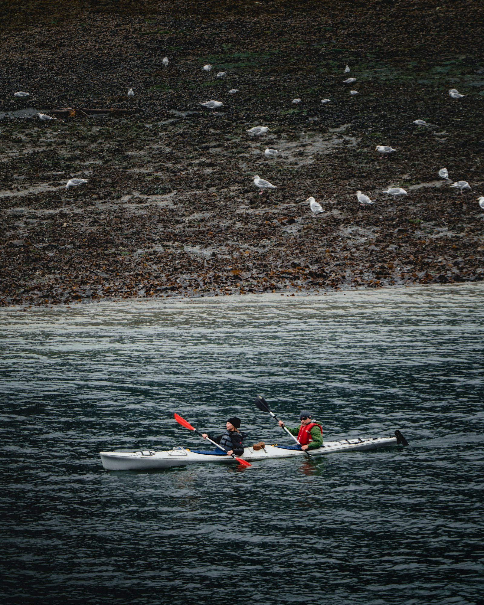 Sony a7R III sample photo. Two men riding kayak photography