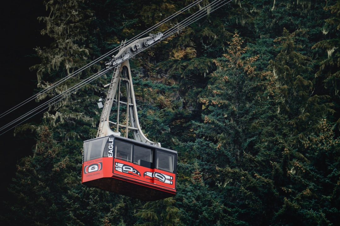 shallow focus photo of black and red cable car