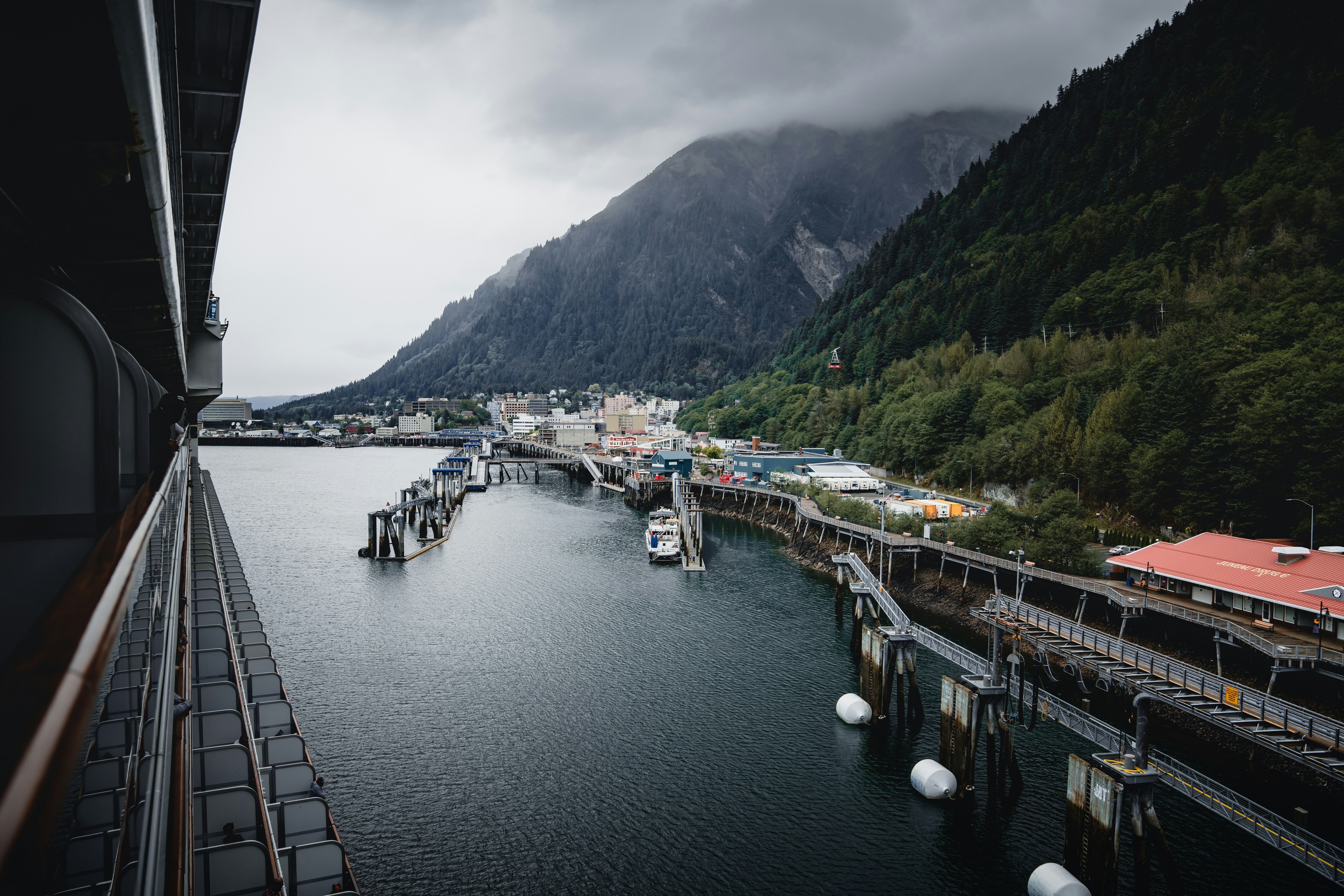 houses surrounded with trees during daytime