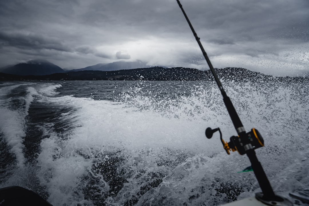 shallow focus photo of black fishing rod