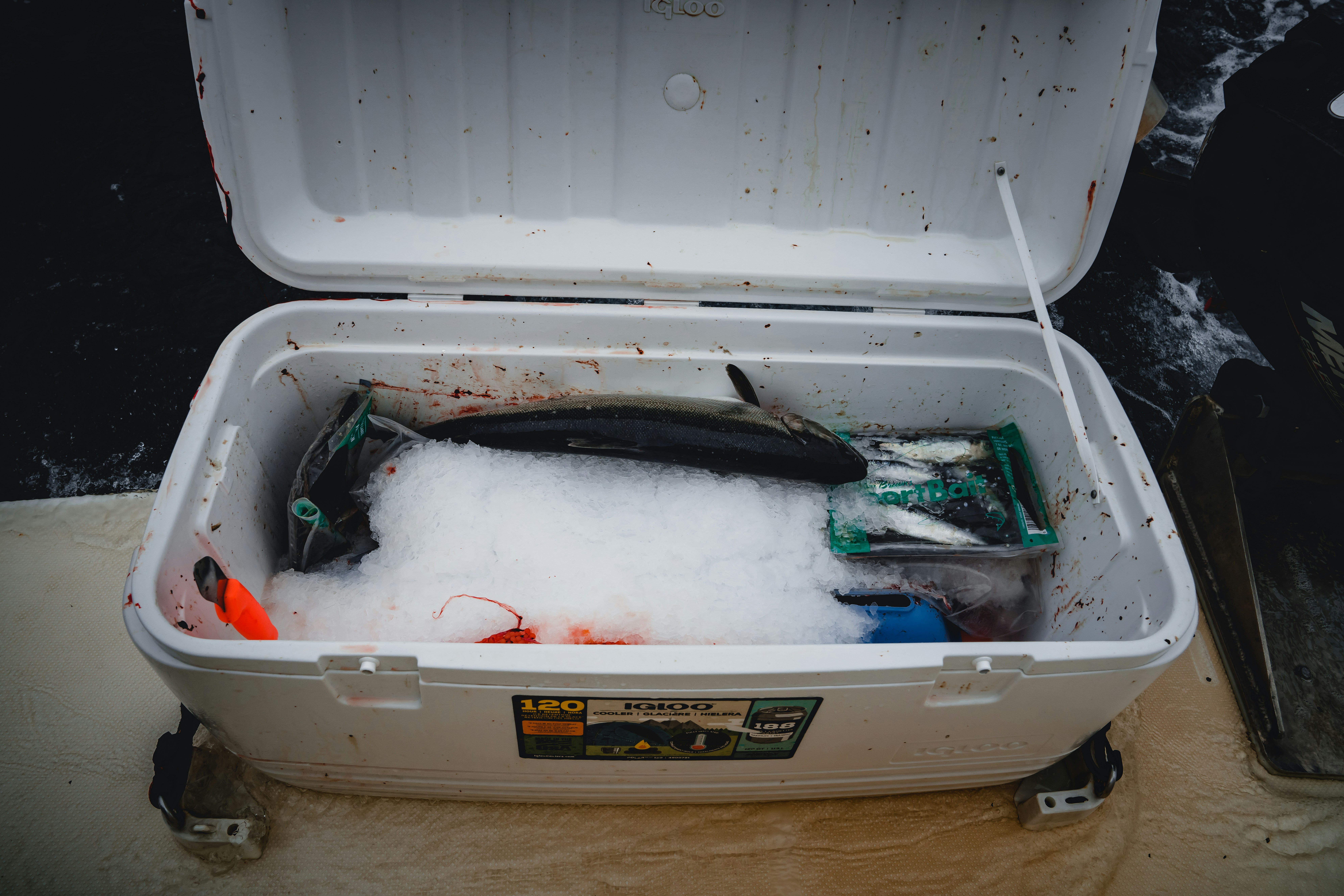 Princess Cruises alaska