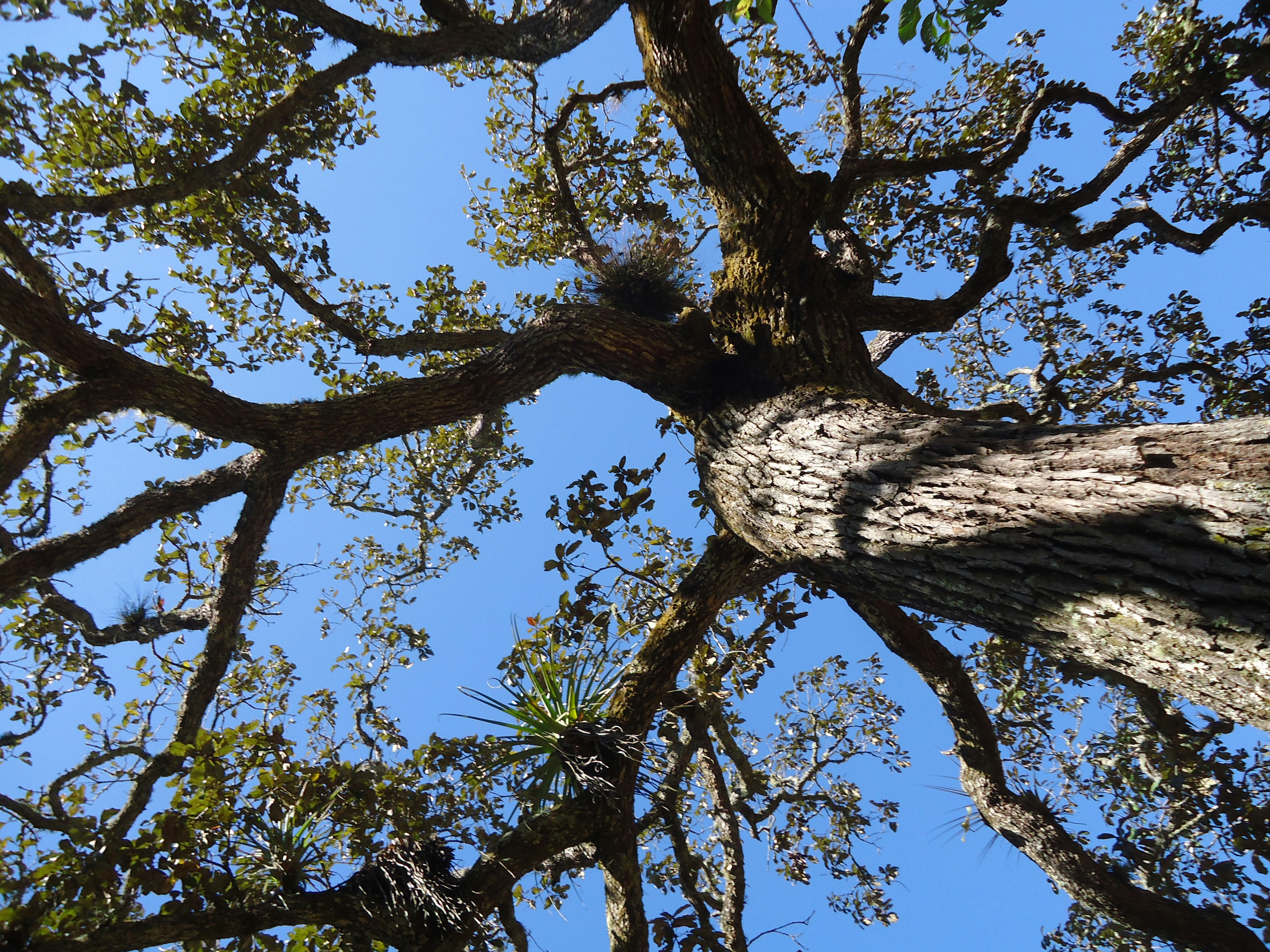 Photo by subliminal3r