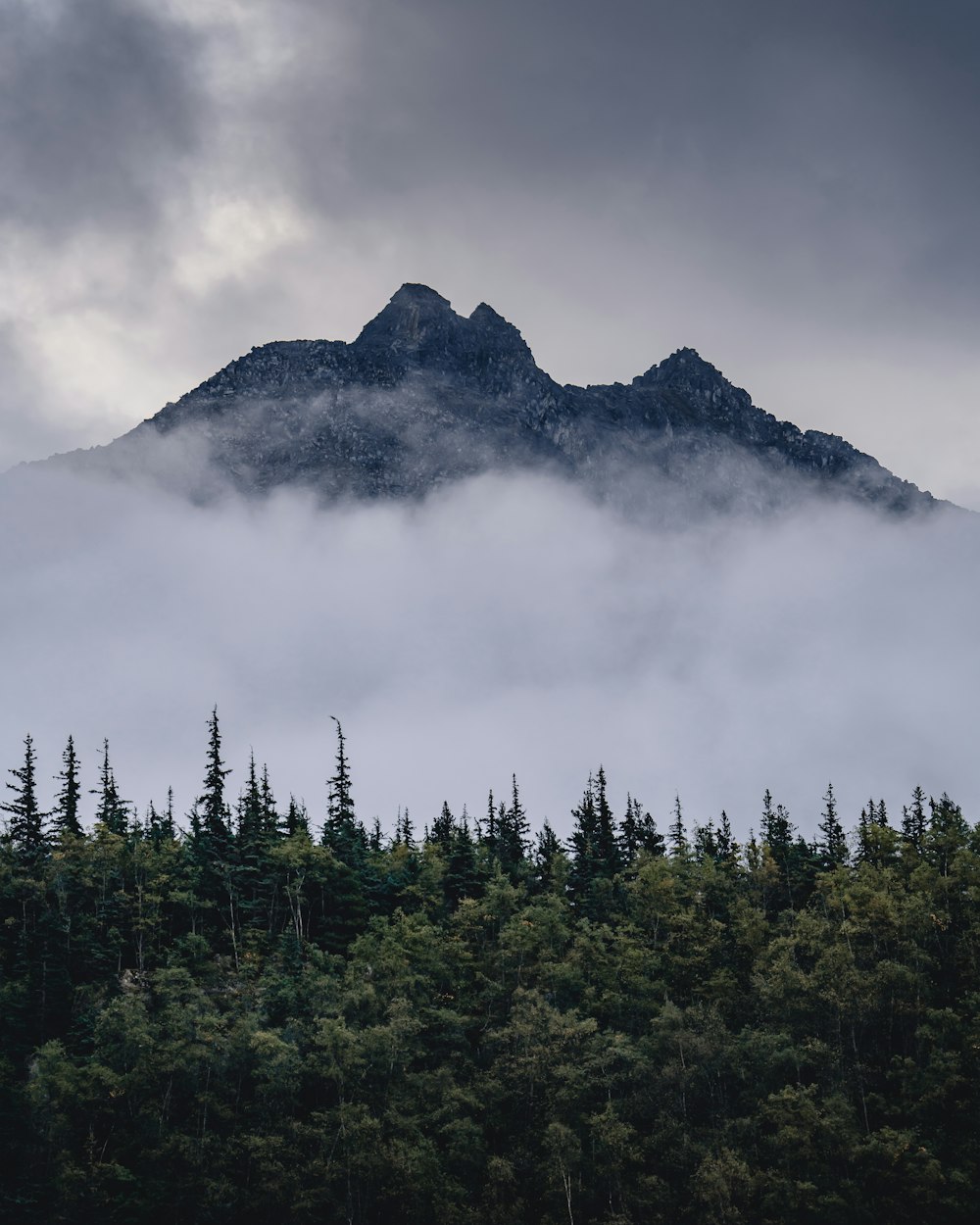 green-leafed trees near mountain