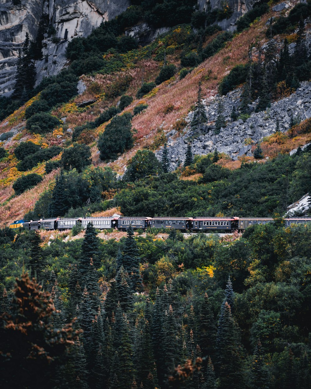 train on track at daytime by mountains during daytime