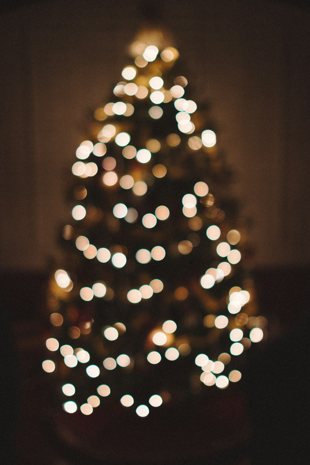 bokeh photography of Christmas tree with lights