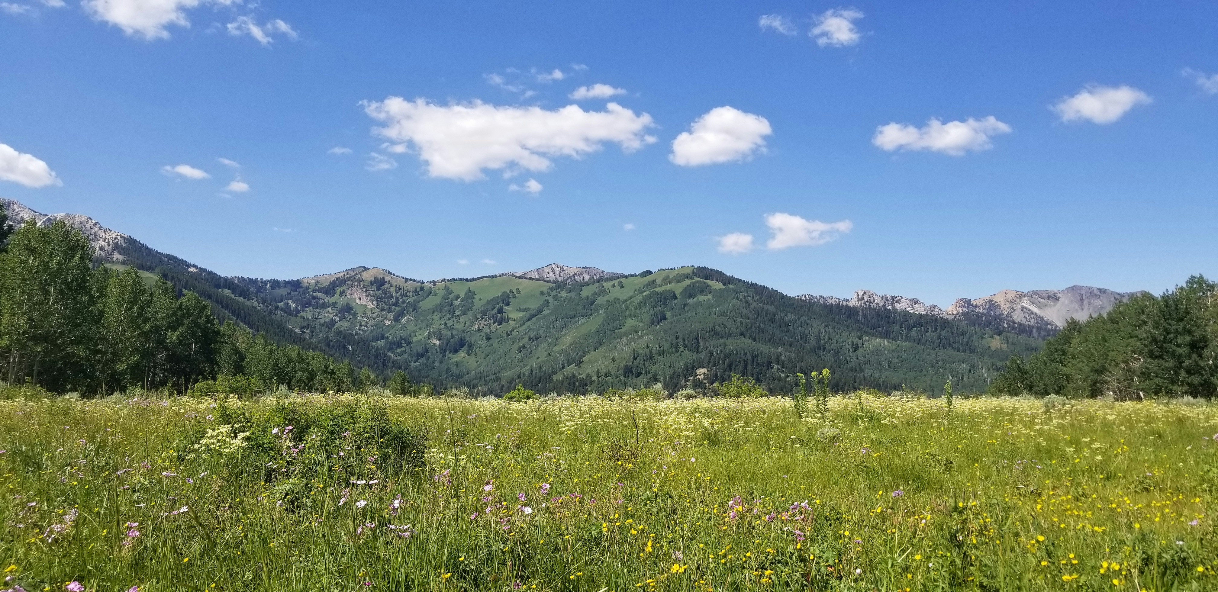 Photo by trashpandakun