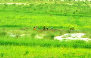 Farmers gathered in a lush green field attending a hands-on training session on organic farming techniques.