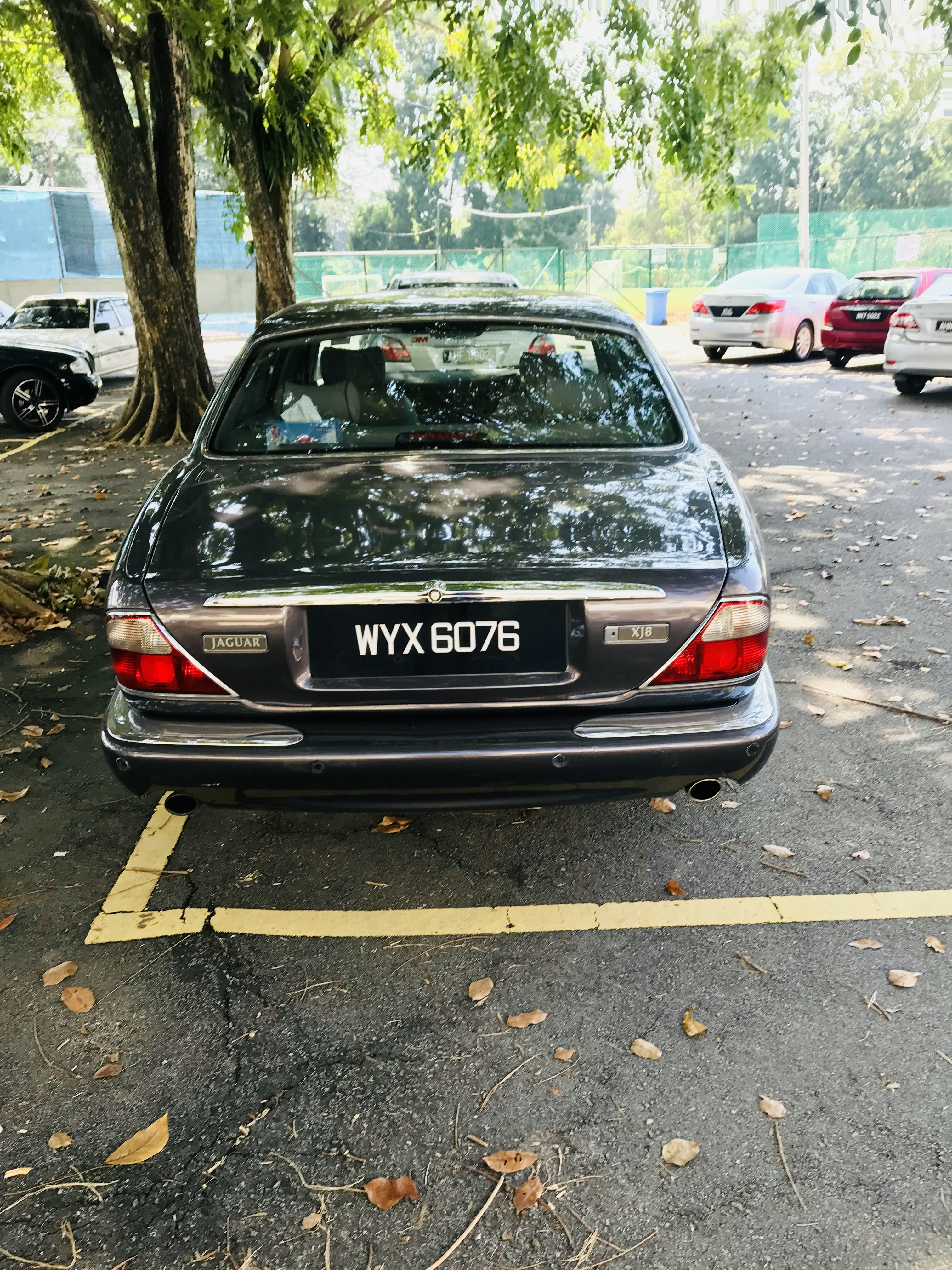 Jaguar Car Wallpaper Download Unsplash