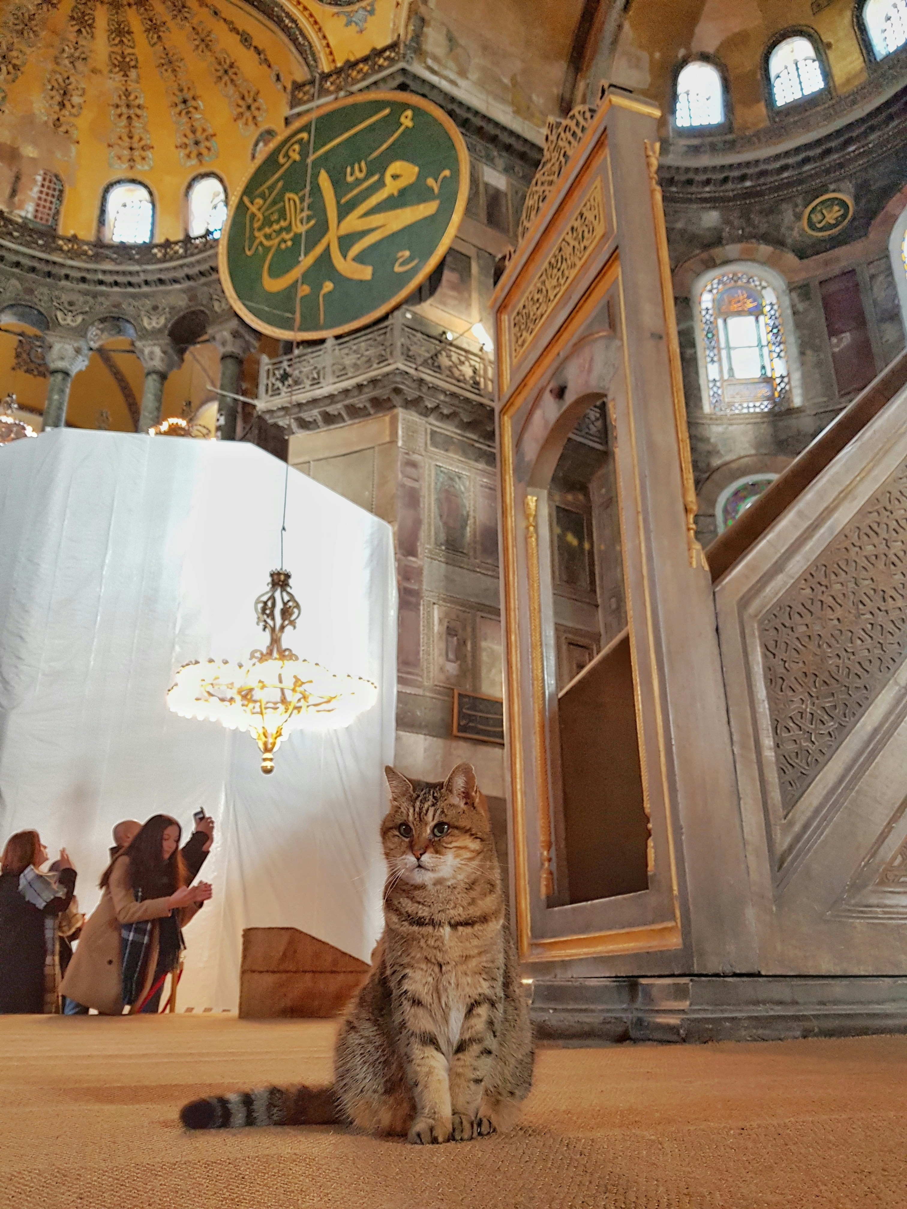 İstanbul'da Göçmenlik Sürecinde Başarı İçin Avukat Seçimi