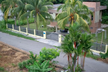 A suburban house with a flat roof and cream-colored walls is surrounded by a fence. Palm trees and lush greenery are visible in the yard and along the street. A paved road runs alongside the property, with some dry grass and shrubs visible on the other side.