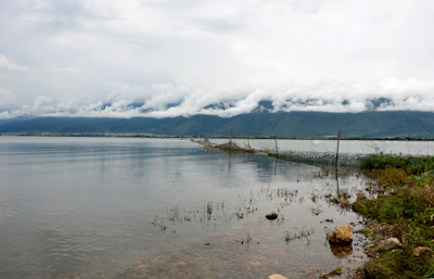 A fishing lake surrounded by natural barriers to keep pests away.