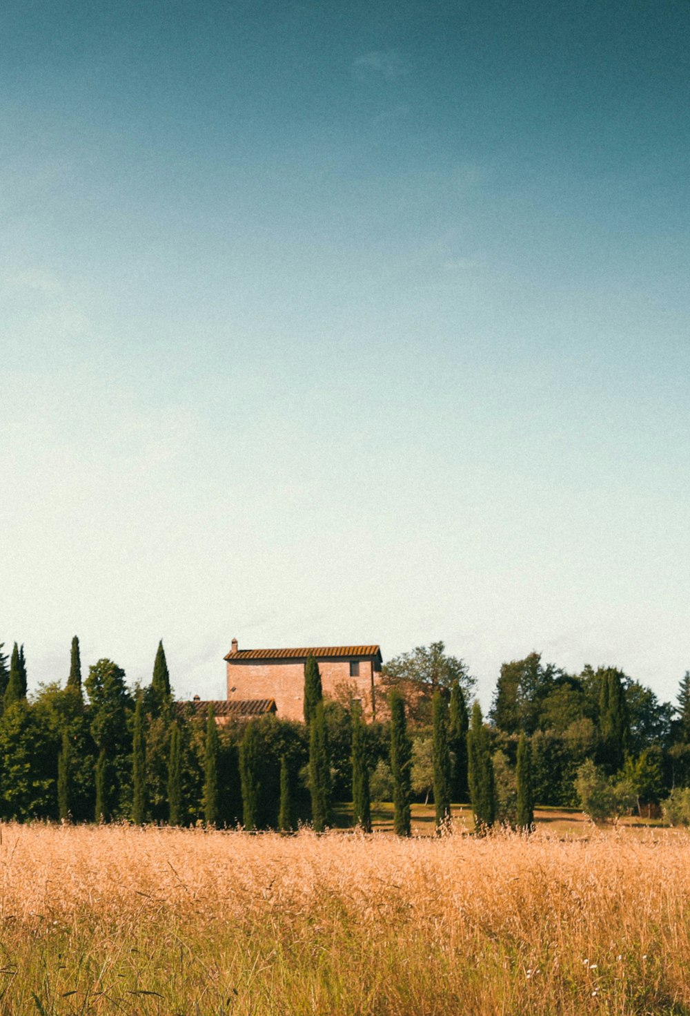 a large field with a house in the background