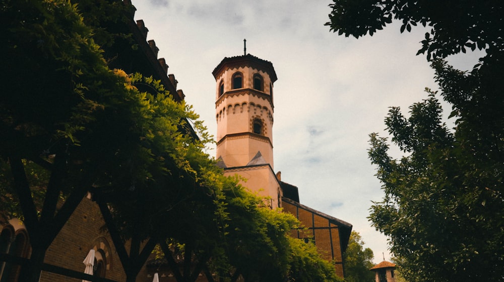 brown cathedral