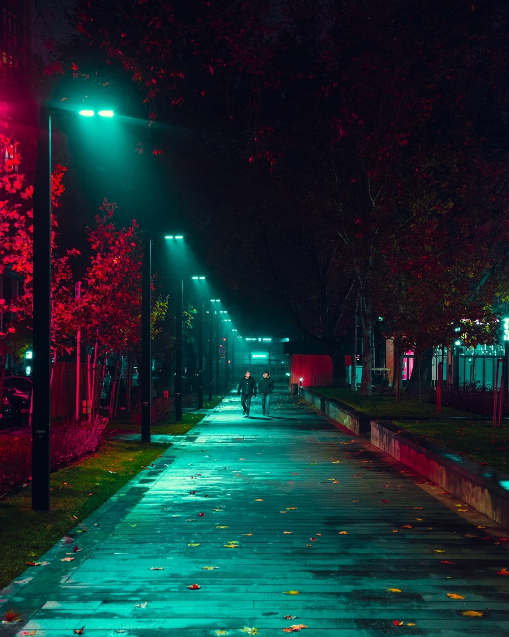 two people walking on sidewalk