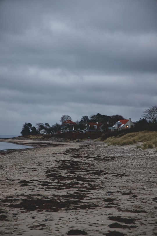seashore during daytime in Dronningmølle Denmark