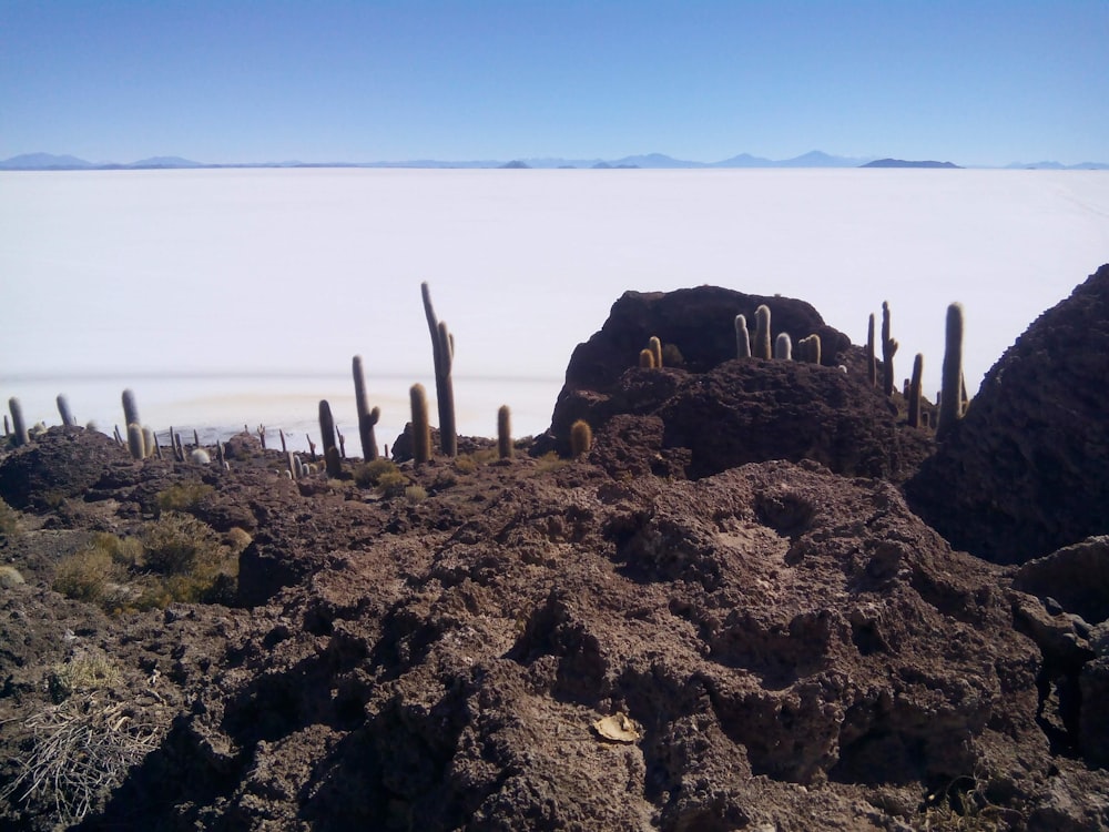 brown rock formation