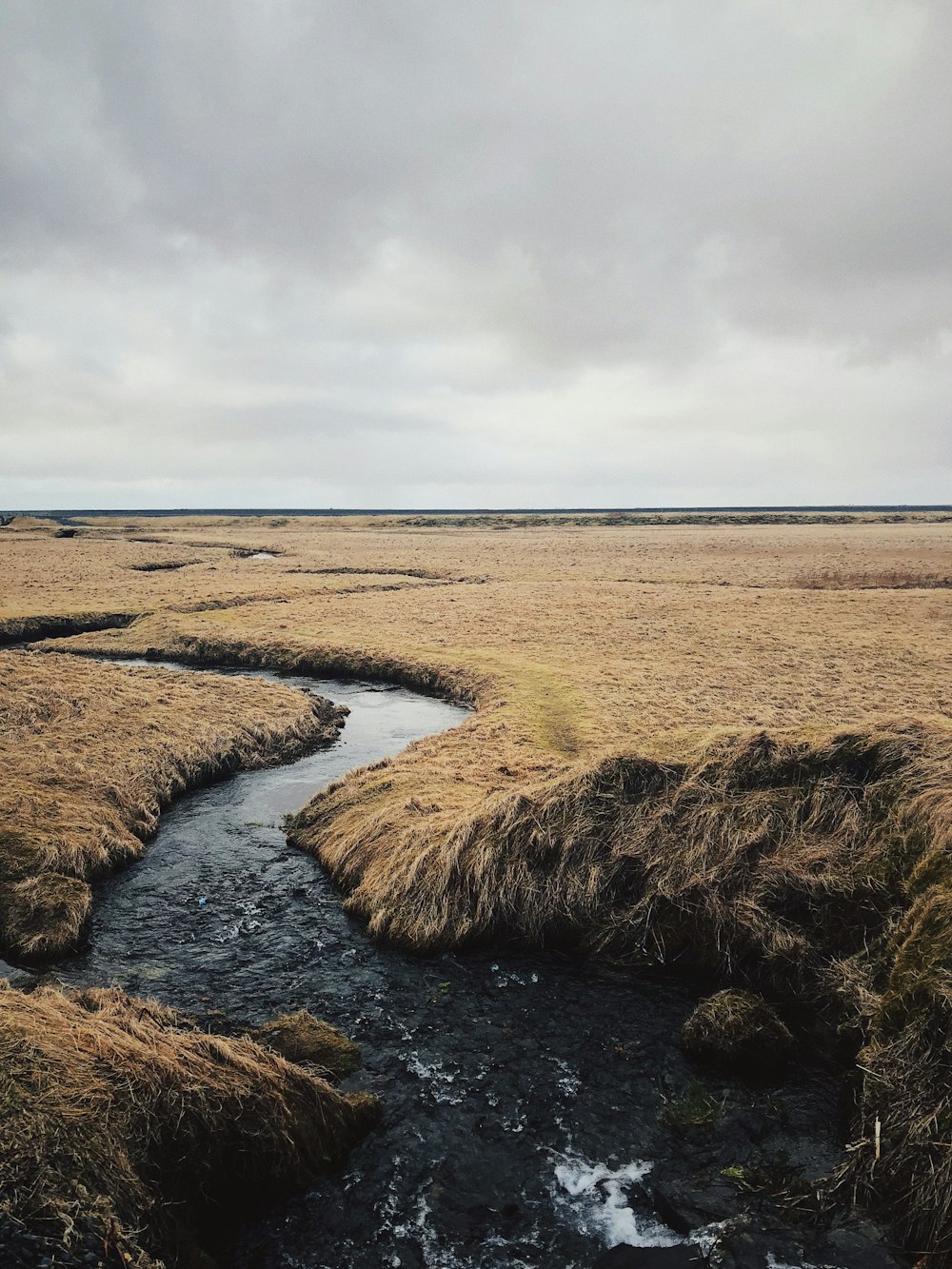 aerial photography of river