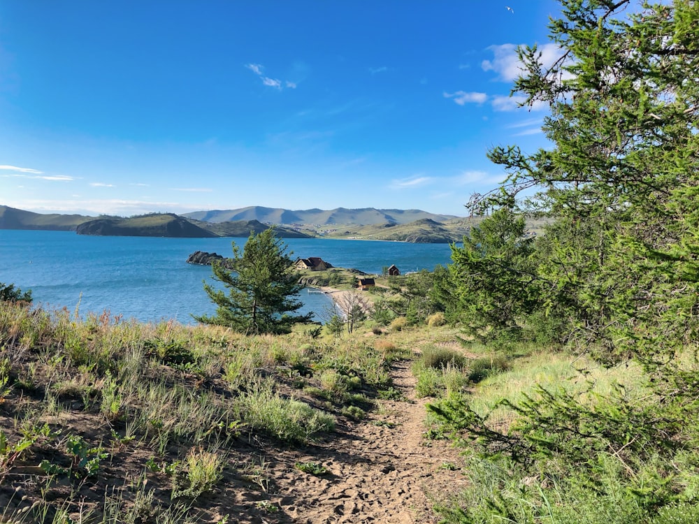 overlooking body of water