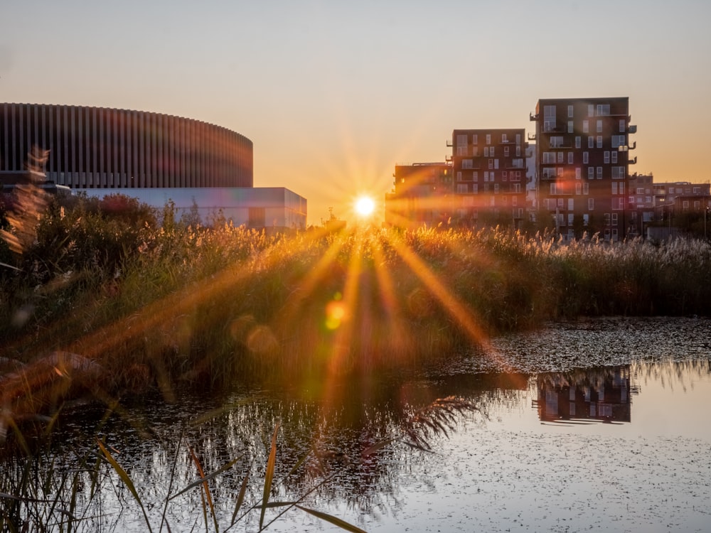 Il sole sta tramontando su uno specchio d'acqua