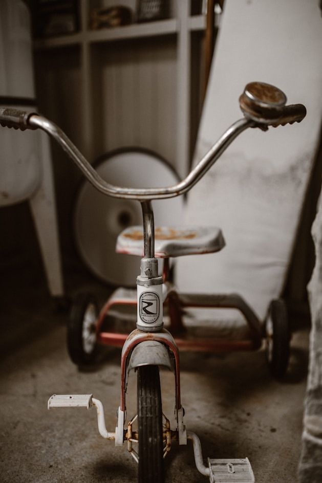toddler's grey and red trike