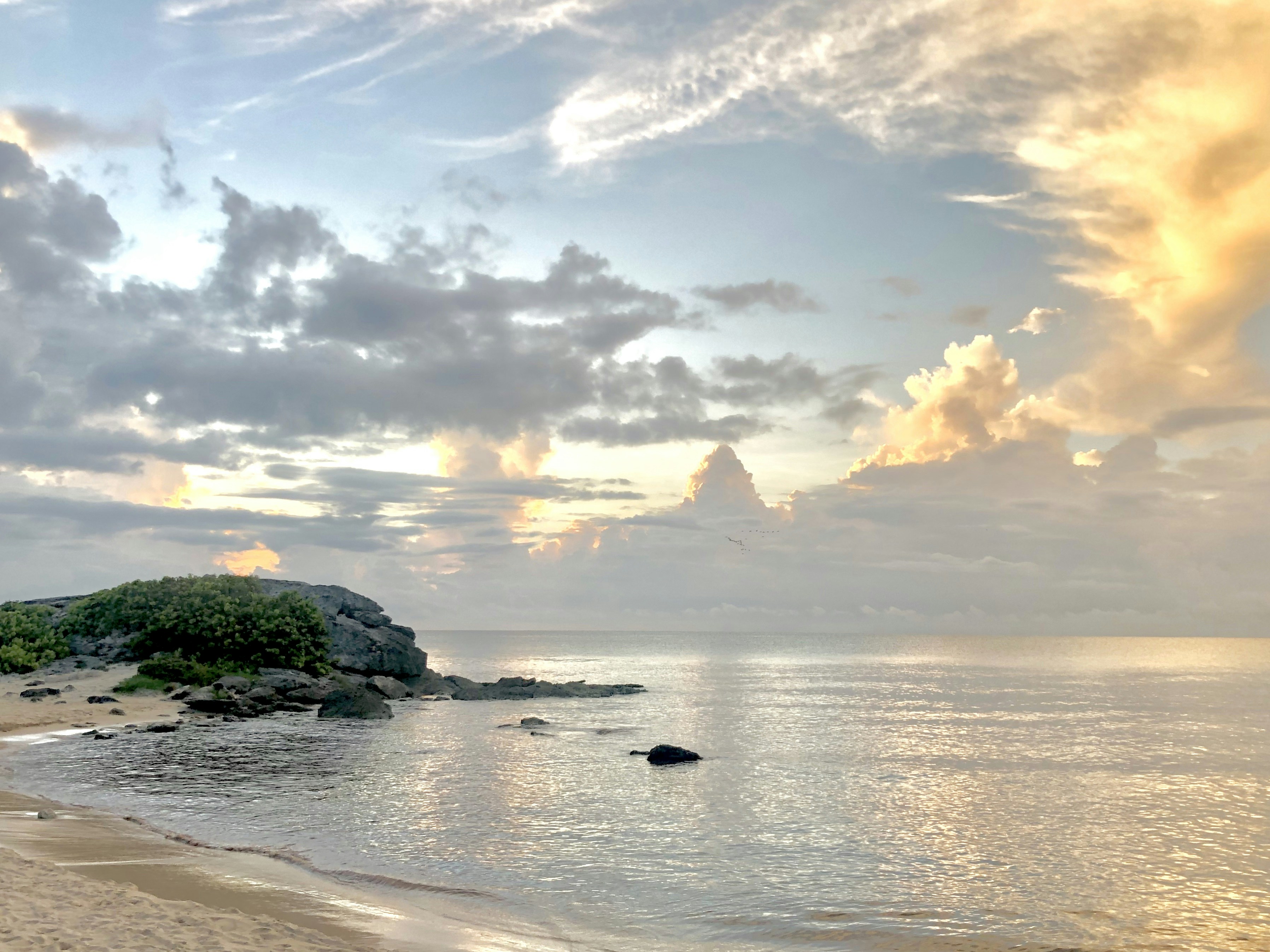 Photo by maxharrisbrassil