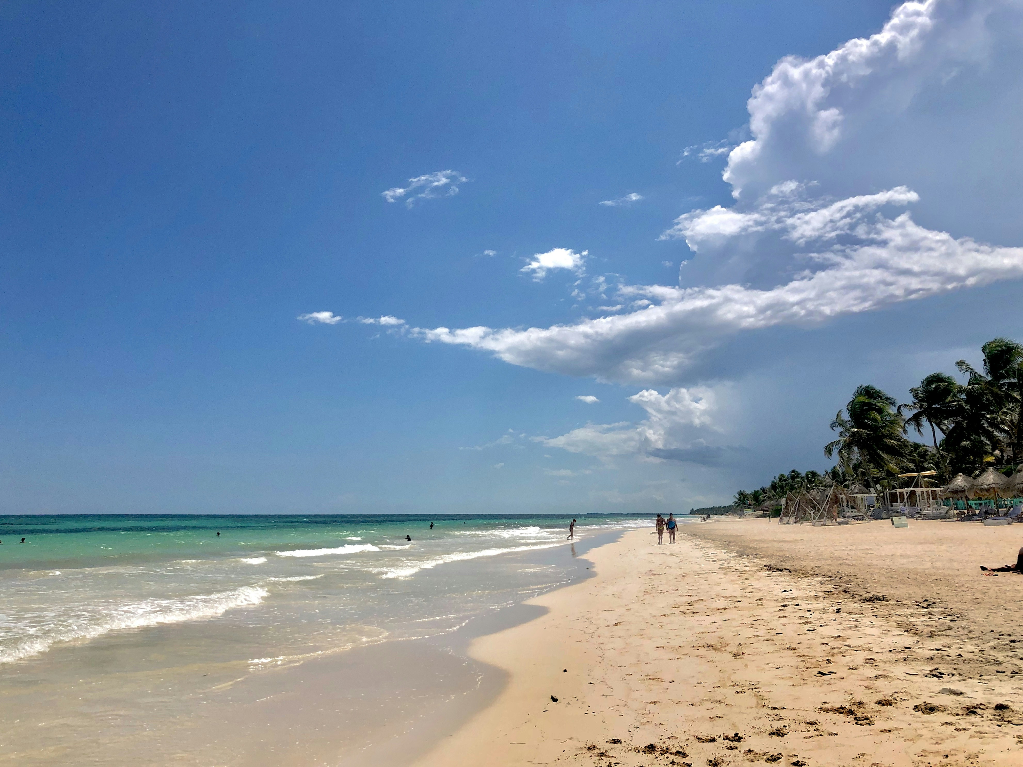 Photo by maxharrisbrassil