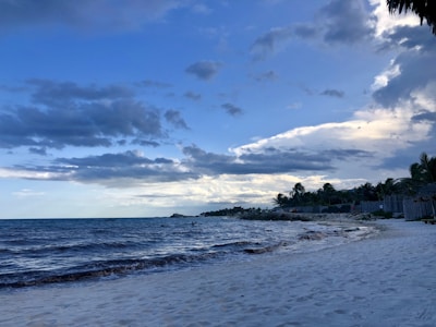 A tranquil beach with gentle waves and palm trees.