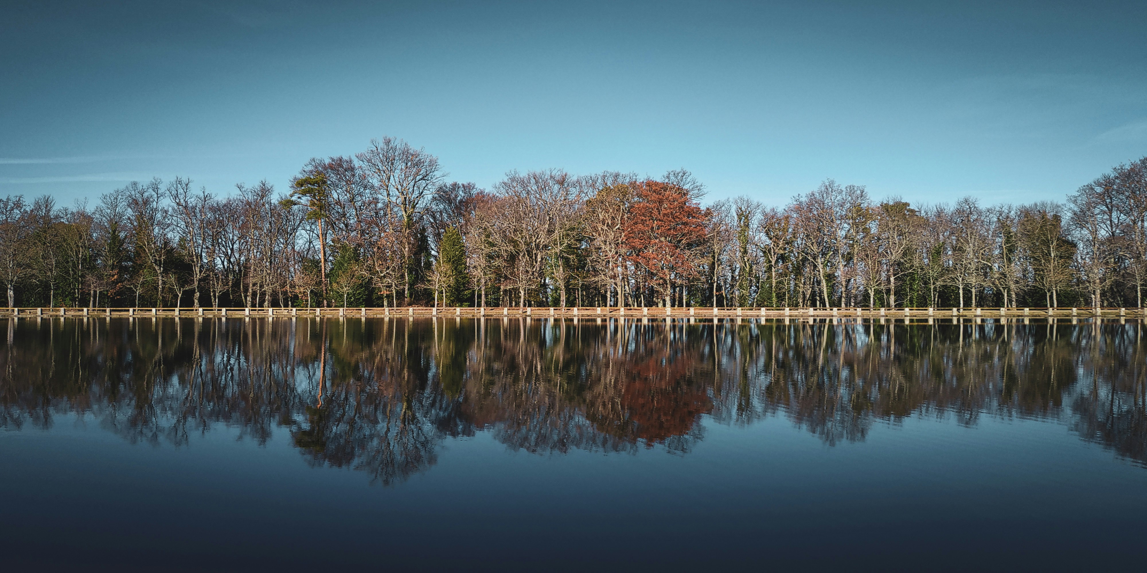 Photo by mikamagister