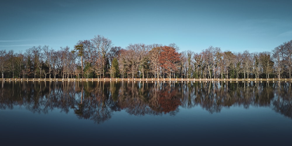 calm body of water