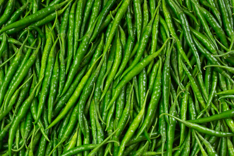 G4 Green Chilli