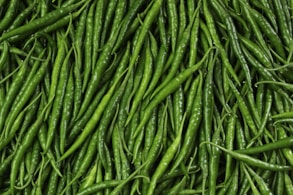 green pepper lot