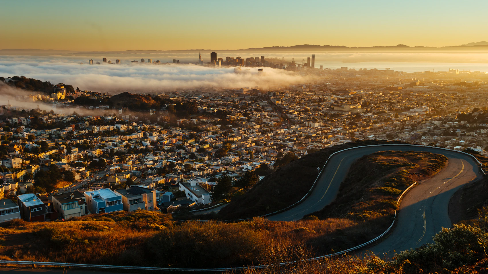 San Francisco neighbourhoods and skyline emerging beyond a low blanket of fog