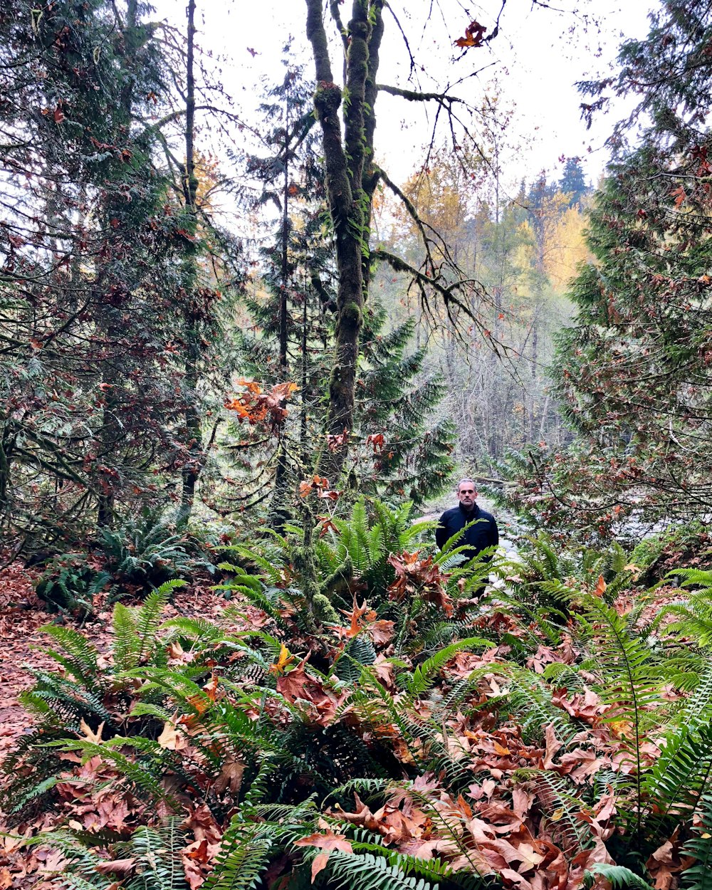 a man standing in the middle of a forest