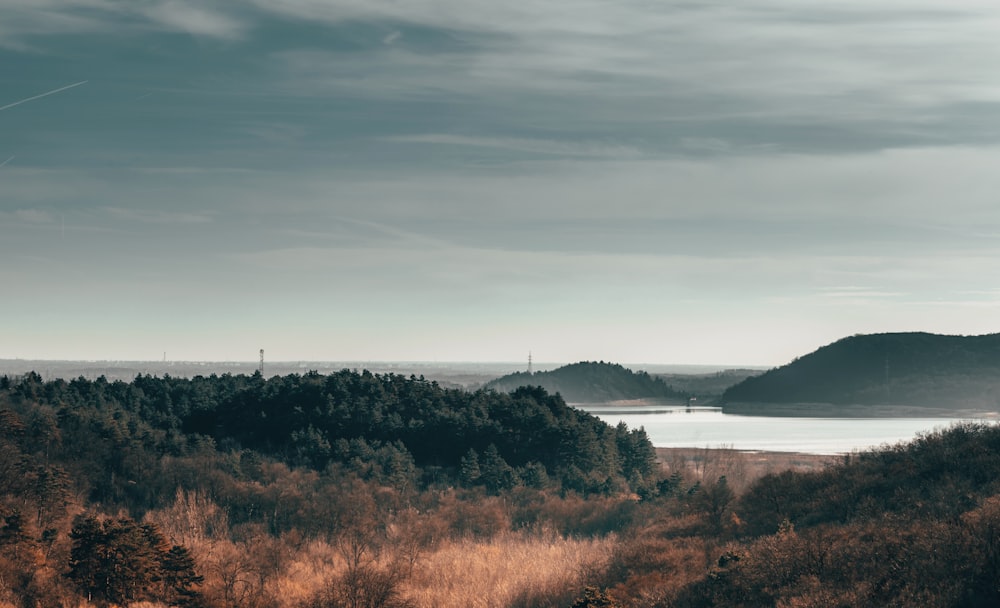 a scenic view of a lake surrounded by trees