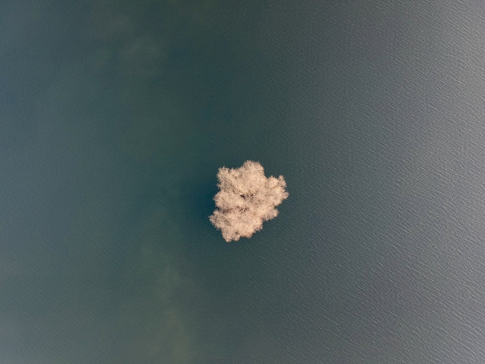 a cloud floating in the middle of a body of water