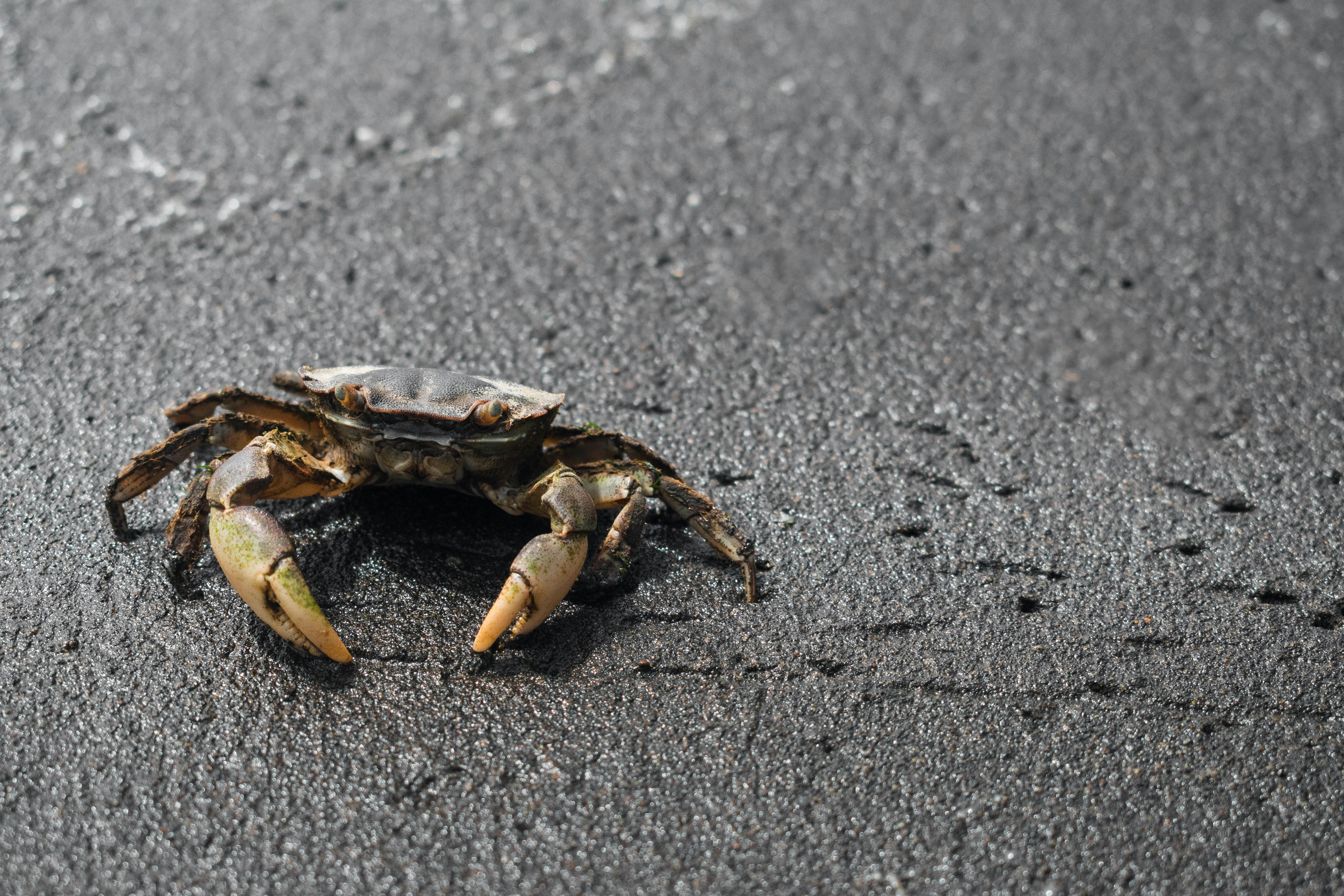 Photo by hemersoncoelho