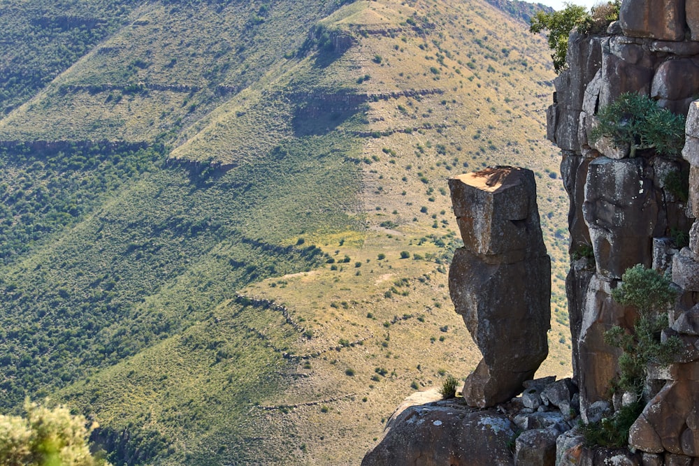 Campo verde durante el día