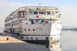 A large white cruise ship is docked at a pier. The ship has multiple decks with rows of windows and a variety of equipment on the top deck. It is secured to the dock with thick ropes. The background features a calm body of water and a distant shoreline with trees and buildings visible through a hazy sky.