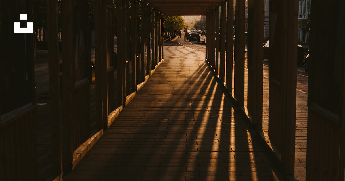Brown pathway during dawn photo – Free Cluj-napoca Image on Unsplash