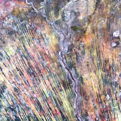 Aerial photograph with a blend of vivid and earthy colors featuring linear patterns that resemble geological formations or agricultural fields. Curved lines and textures suggest natural processes or topographical features.